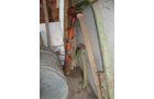 Property photo 12 - Personal Property Auction